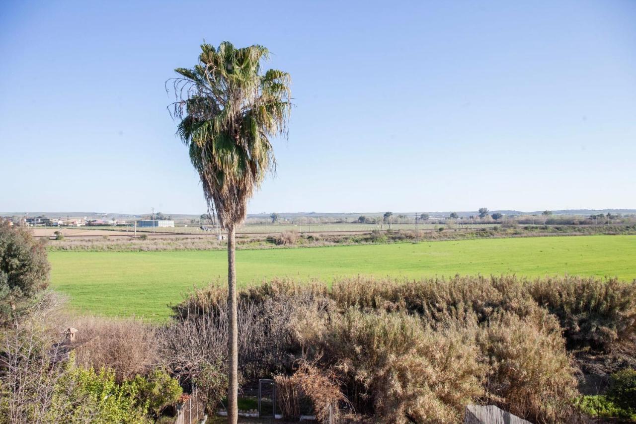 Casa Rural La Palmera Almodóvar del Río Exterior foto